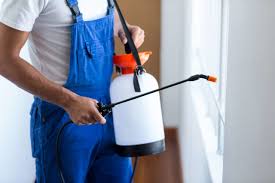 Best Pest Prevention Services  in El Jon, CA